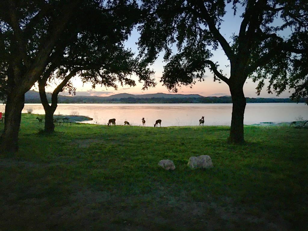 Medina Lake Camping Resort Cabin 3 Lakehills Экстерьер фото